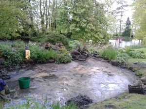 Cleaning the Water Garden