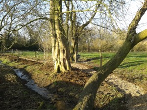 Wood-chip path down at Bath Walk