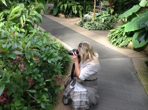 Samantha Jane photographing Medinilla species at Kew Gardens