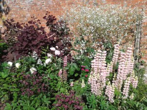 Nice planting in the Cut Flower Border