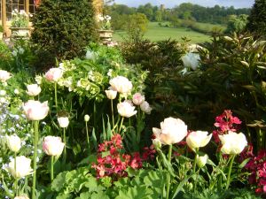 A close up Herbaceous Borders Tulips and Castle in Back